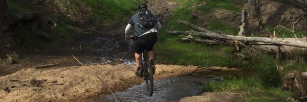 RighteousBB's profile banner image