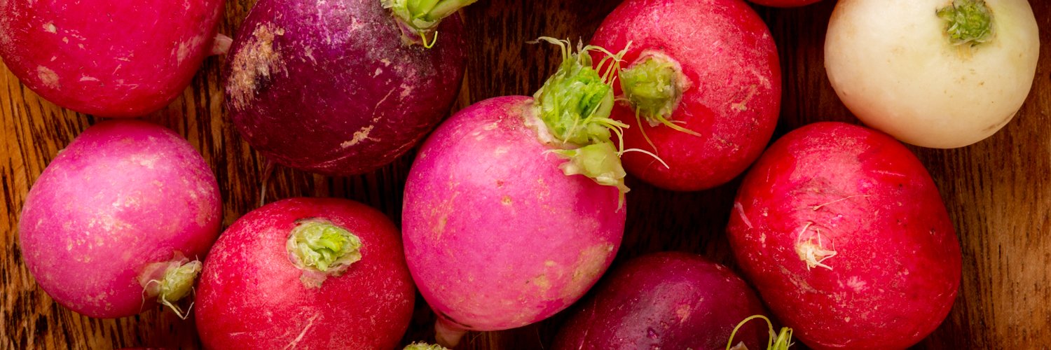 MASAHITO SATO banner