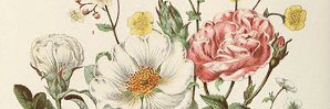AbbersD's profile banner image