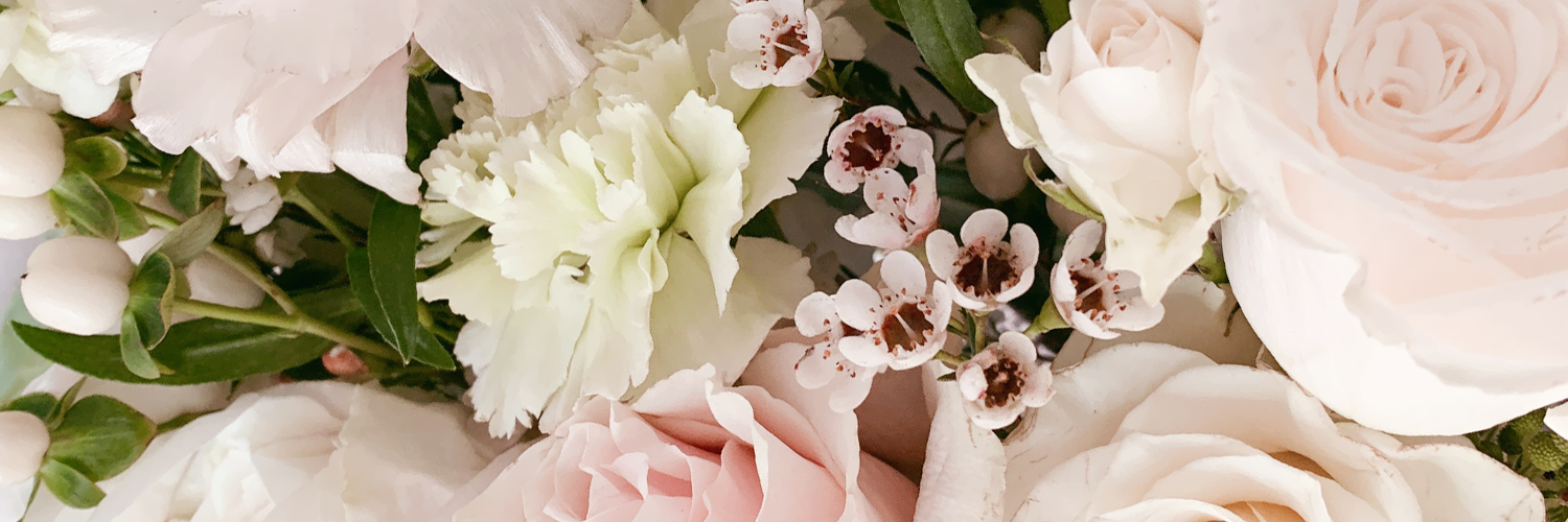 SheilaReine's profile banner image