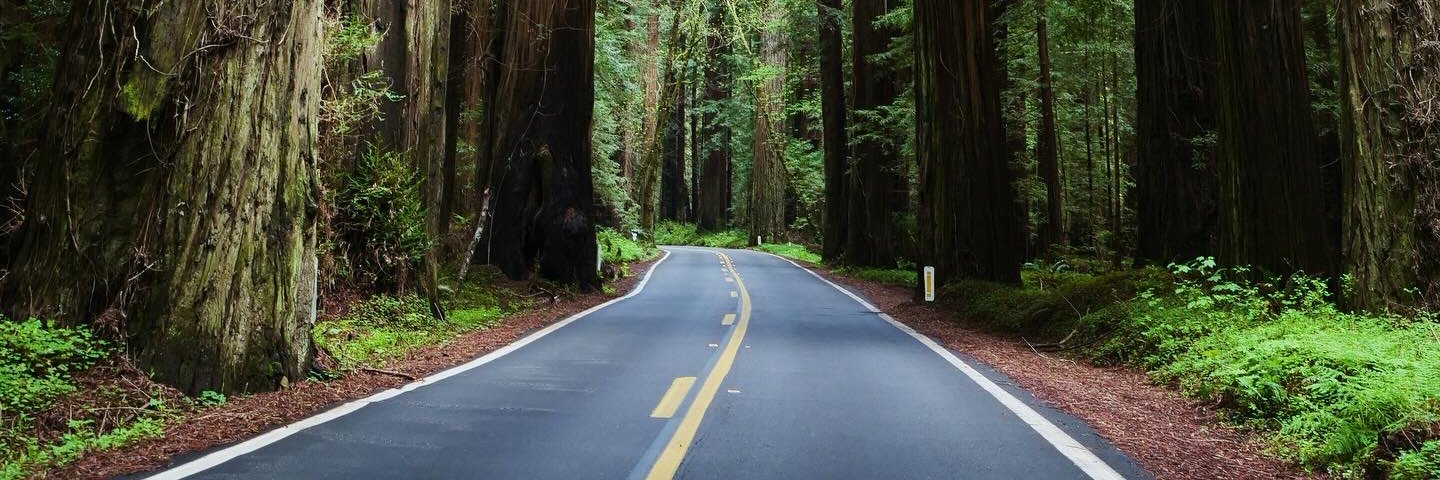 Emily Thatcher banner