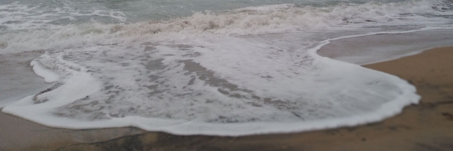 pol_l1's profile banner image