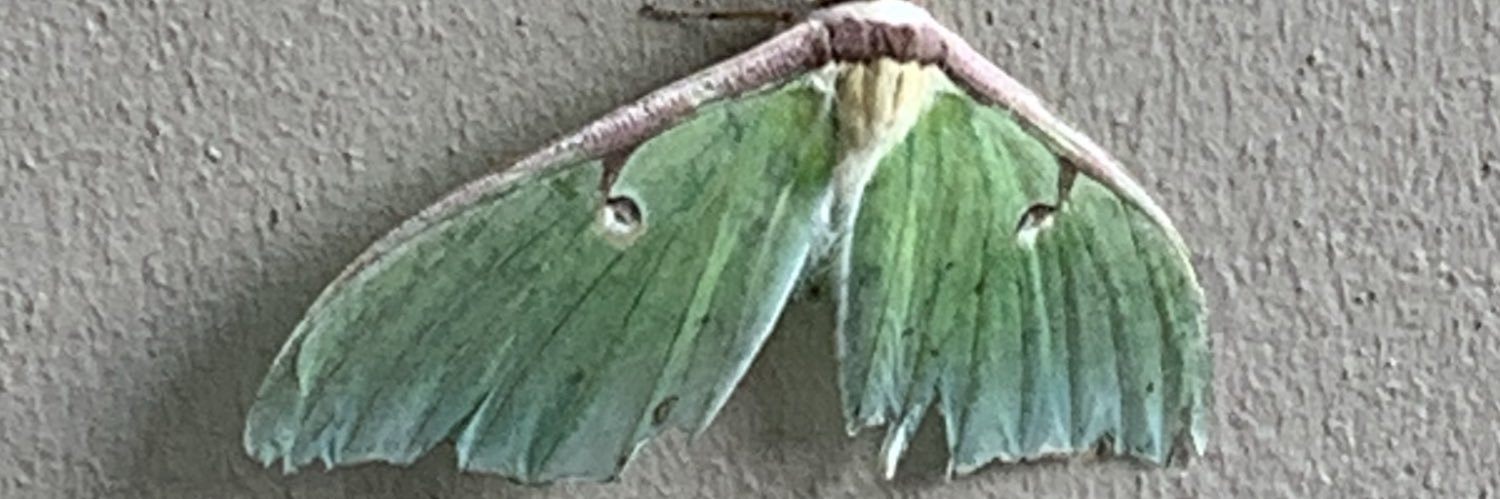 HomeTownHeroEnt's profile banner image
