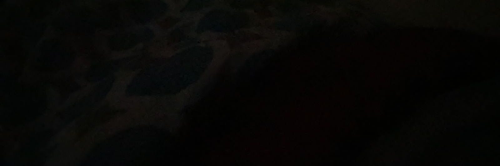PepitoMani11's profile banner image