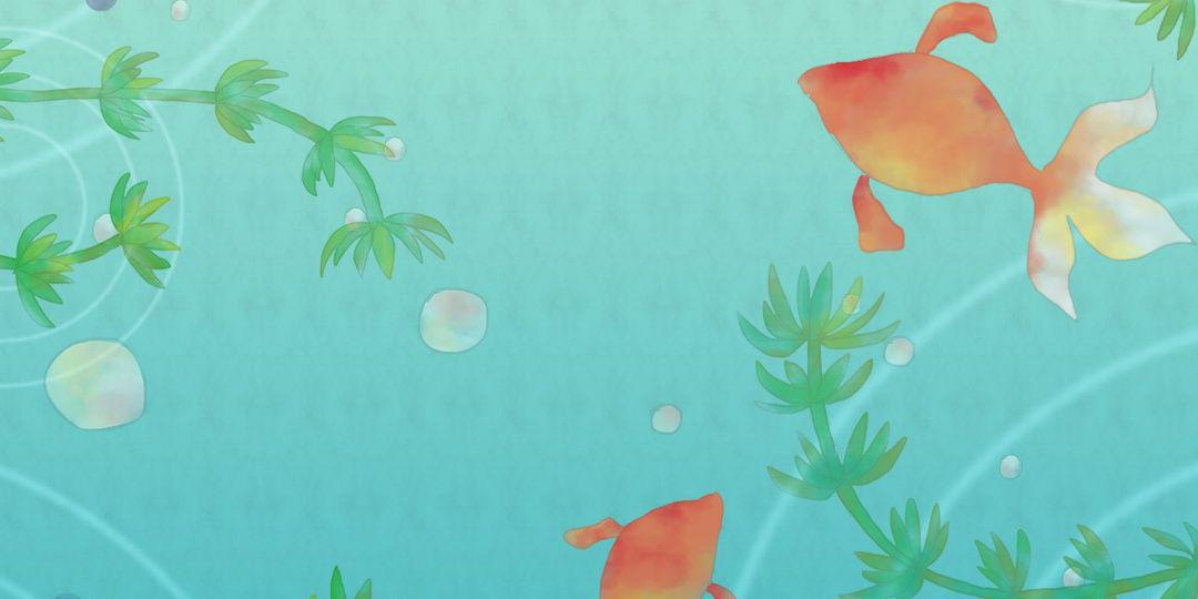 mocomay's profile banner image