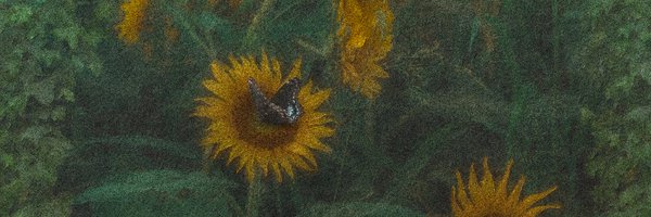 tanamarieco Profile Banner