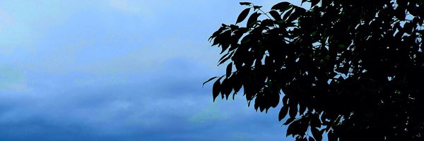 antara_oruganti Profile Banner
