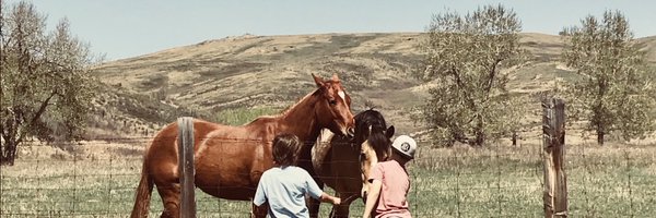 MarnieDeschenes Profile Banner