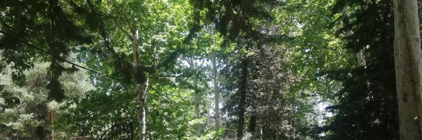 rahim1370219 Profile Banner