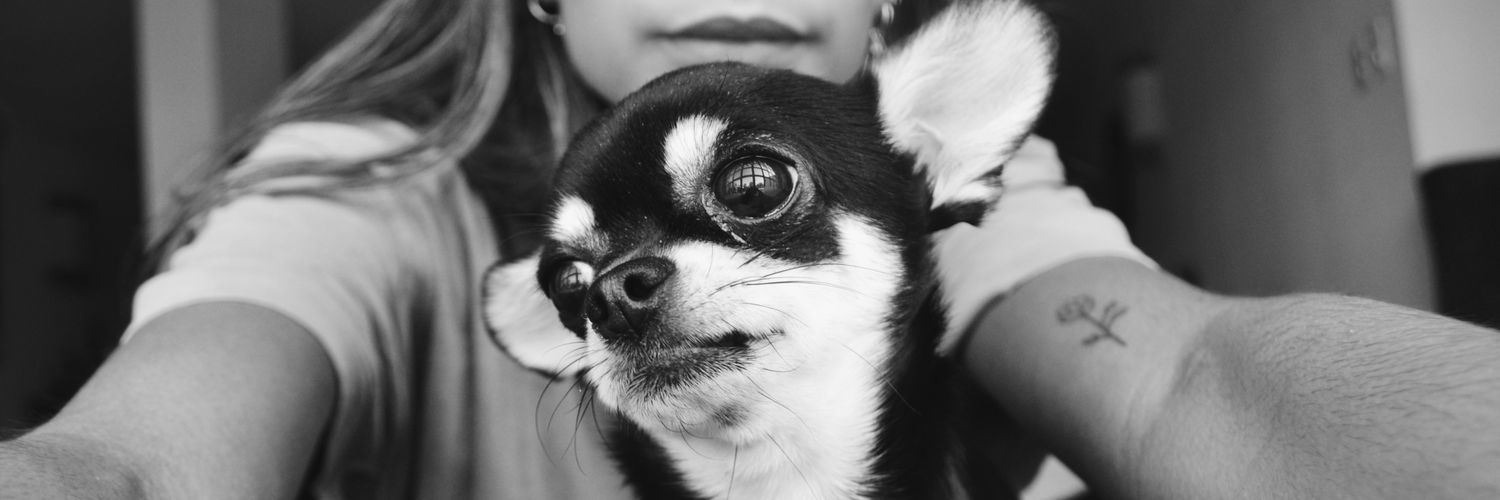 Lucremiranda_'s profile banner image