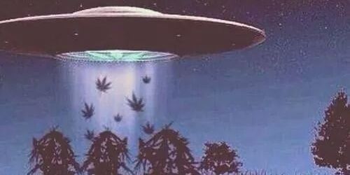 Jesus_im_High's profile banner image