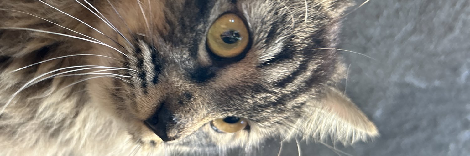 riccabrv's profile banner image