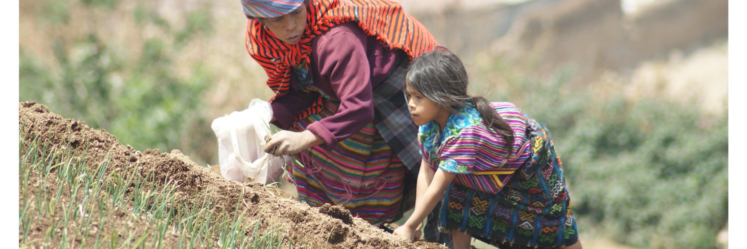 Guus Geurts 🌍🐬🐮🐞🌳🗿 banner