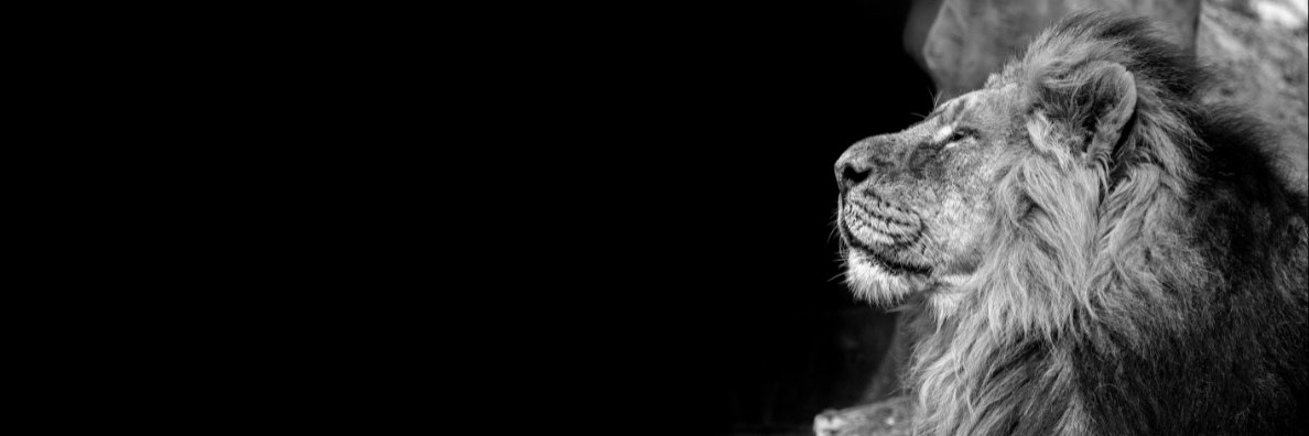 doug_thibault's profile banner image