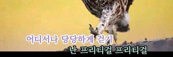 드버(⊙□⊙)'s banner