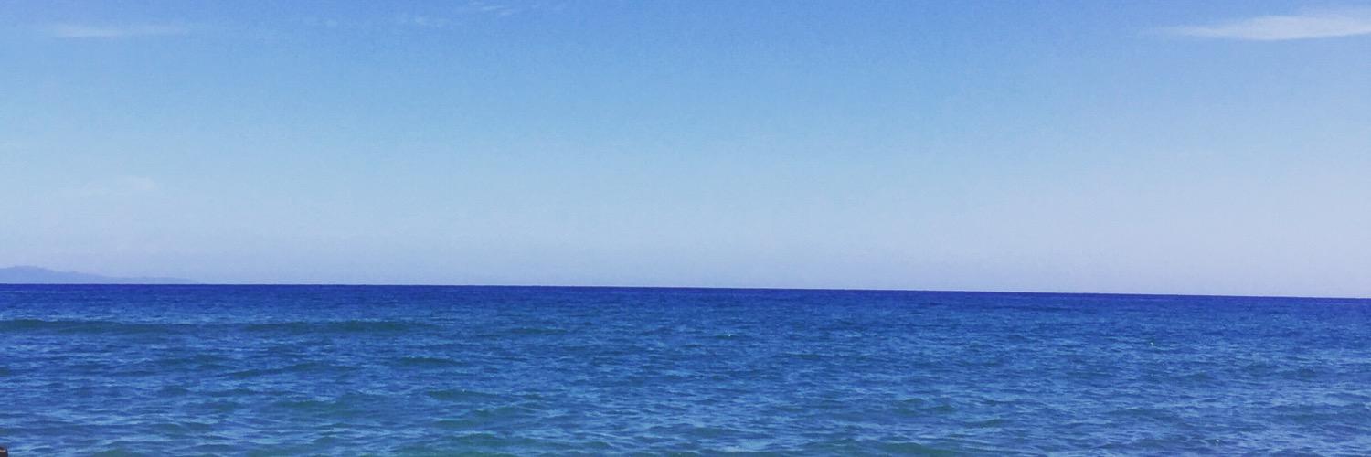 Alberto Zilio banner