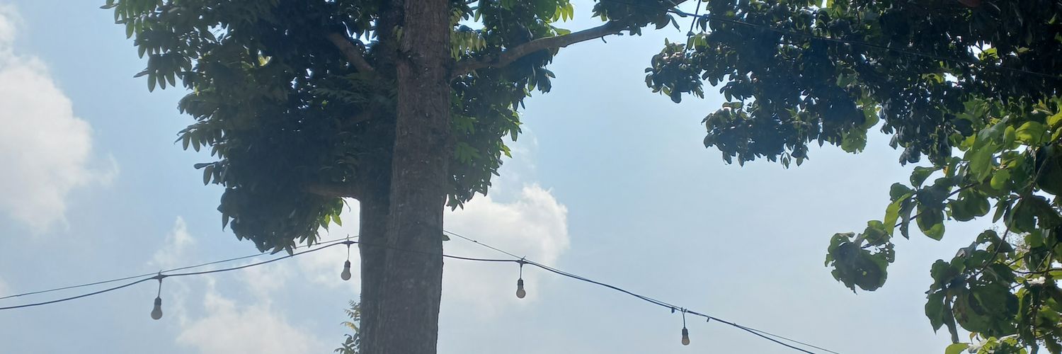 tarocrispy's profile banner image