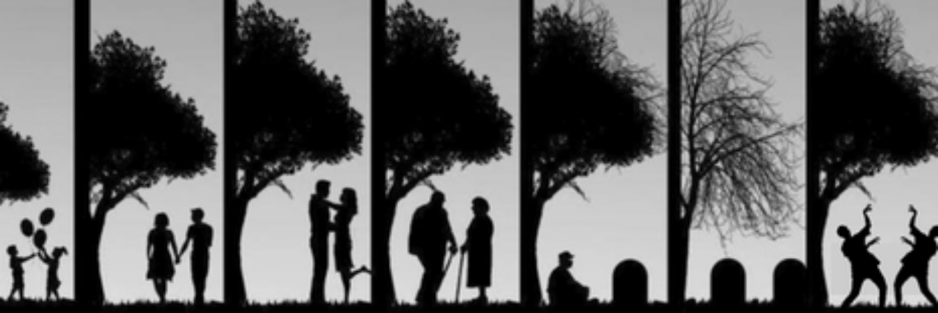 thejzzz's profile banner image