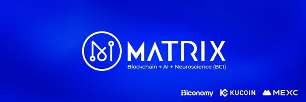 MatrixAI_Turkey Profile Banner