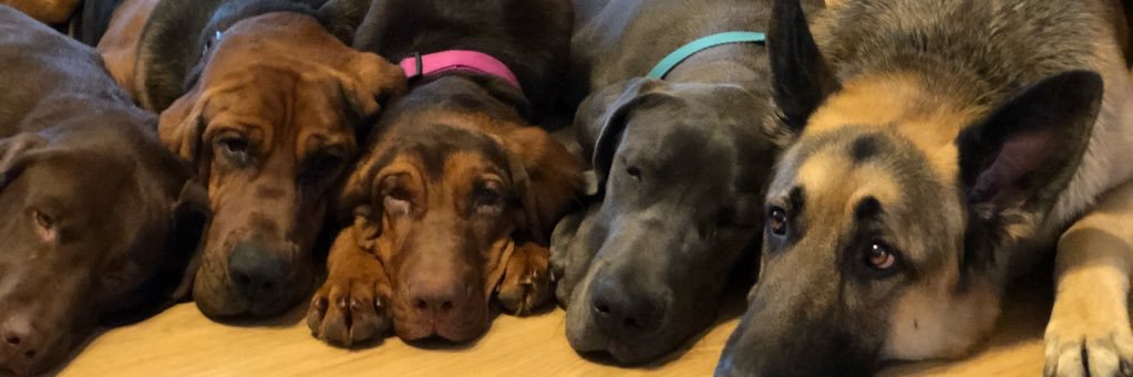 Jamieashton77's profile banner image