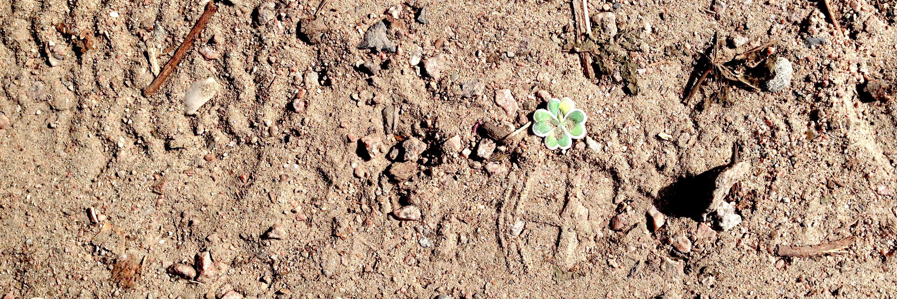 kknocke's profile banner image