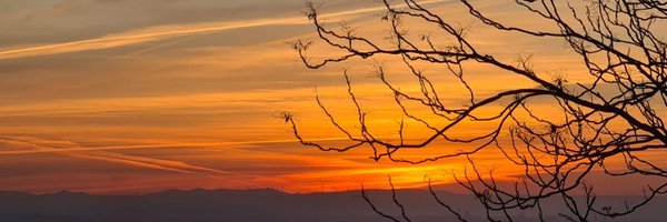 jimatazgz Profile Banner