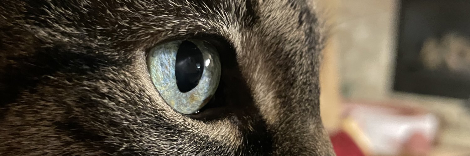 jackhumbert's profile banner image