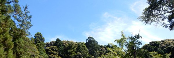 s0827 Profile Banner
