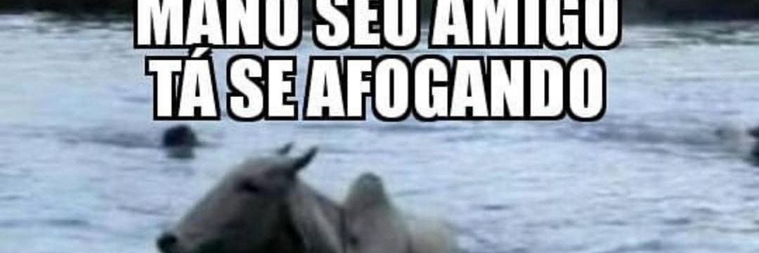 MarceloMaximo9's profile banner image