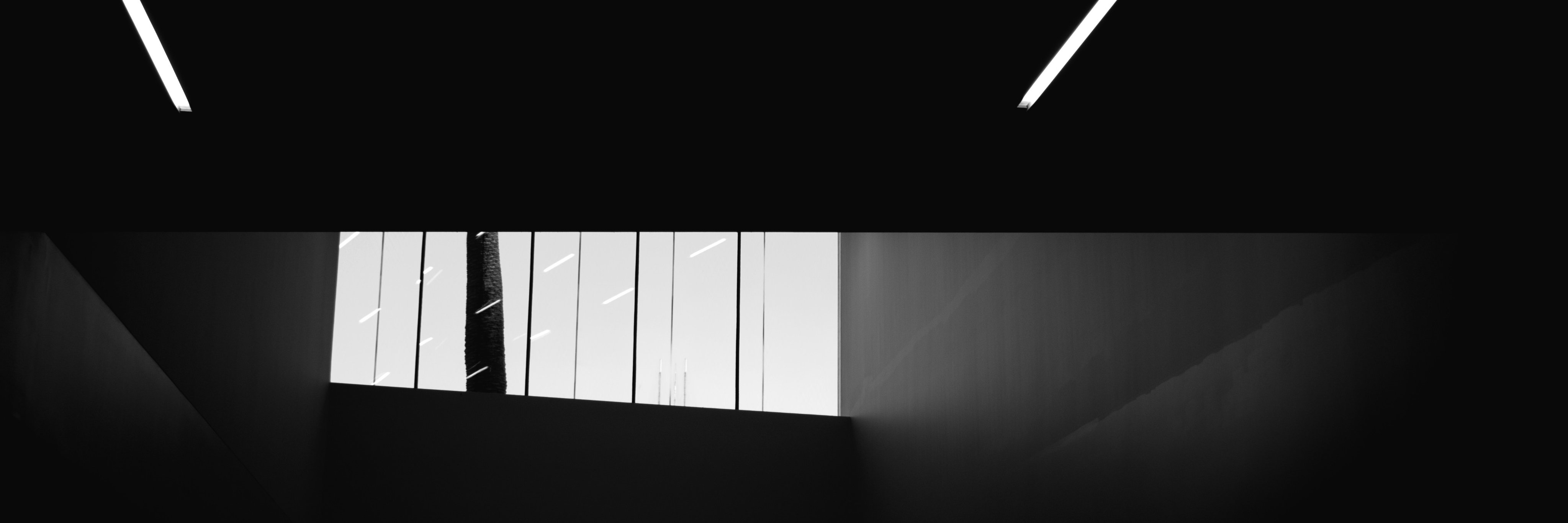 Evan Provan banner