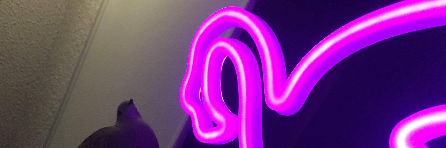 DrSnuggleFlaps's profile banner image