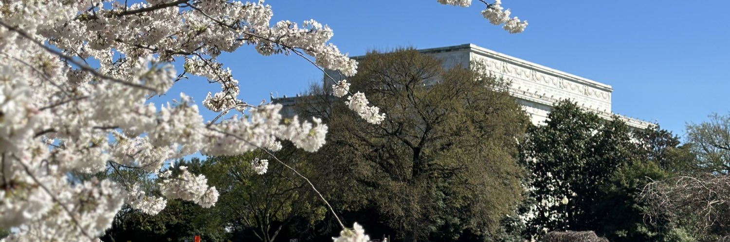 MirabalWDC's profile banner image