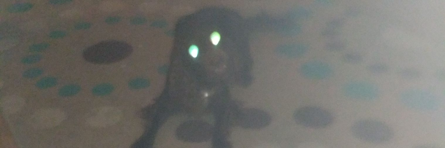 AldinPete's profile banner image