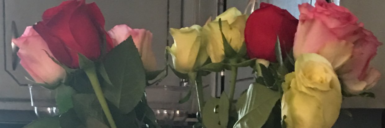 MistyGore5's profile banner image