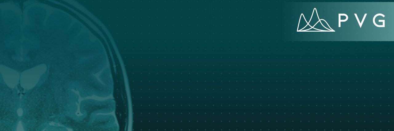 Probabilistic Vision Group banner