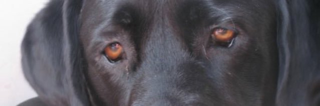 kim_dr78's profile banner image