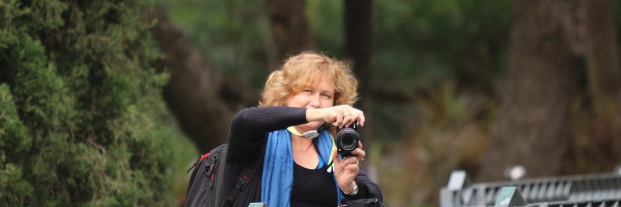 Dianne McKenzie banner