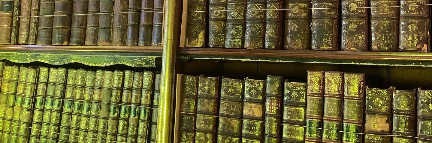 Natalie Doherty banner