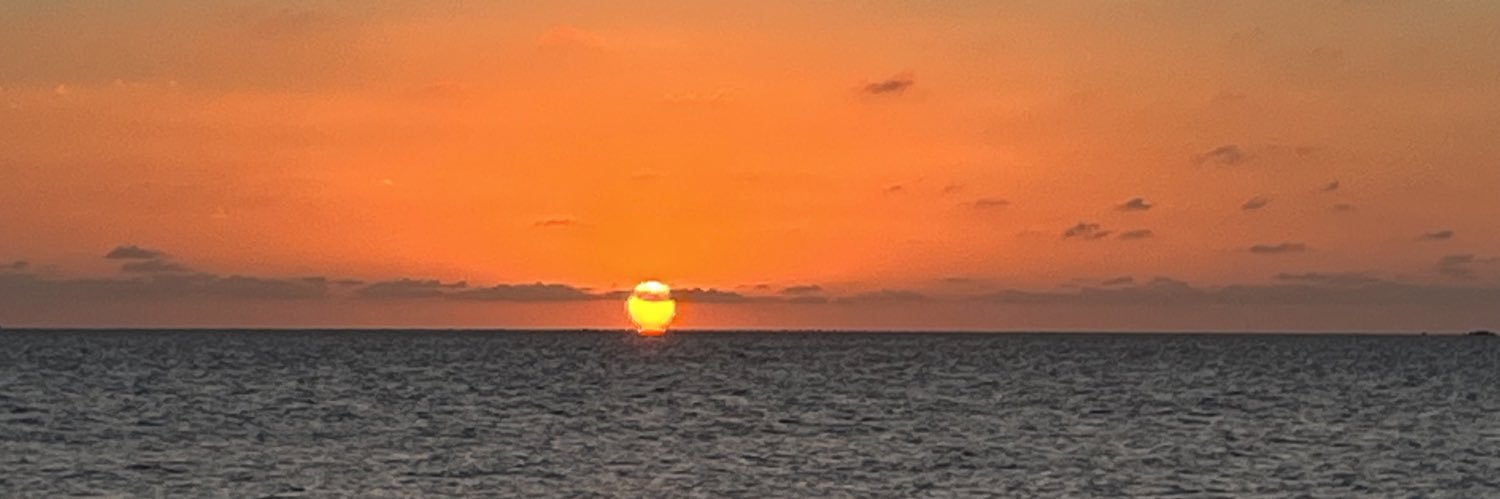 Marisol Rodríguez Chatruc banner