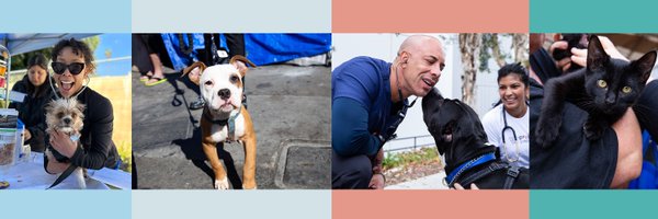 TheStreetVet Profile Banner