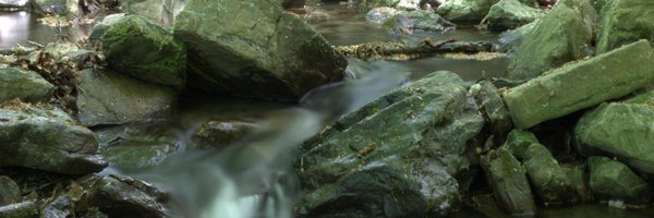 YwzanZeb Profile Banner