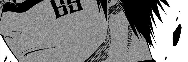 ShuHisagi69's profile banner image