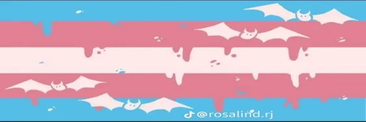 ﹫𝘃¡c𝘁͟or ૮₍｡´• ˕ •`｡₎ა banner