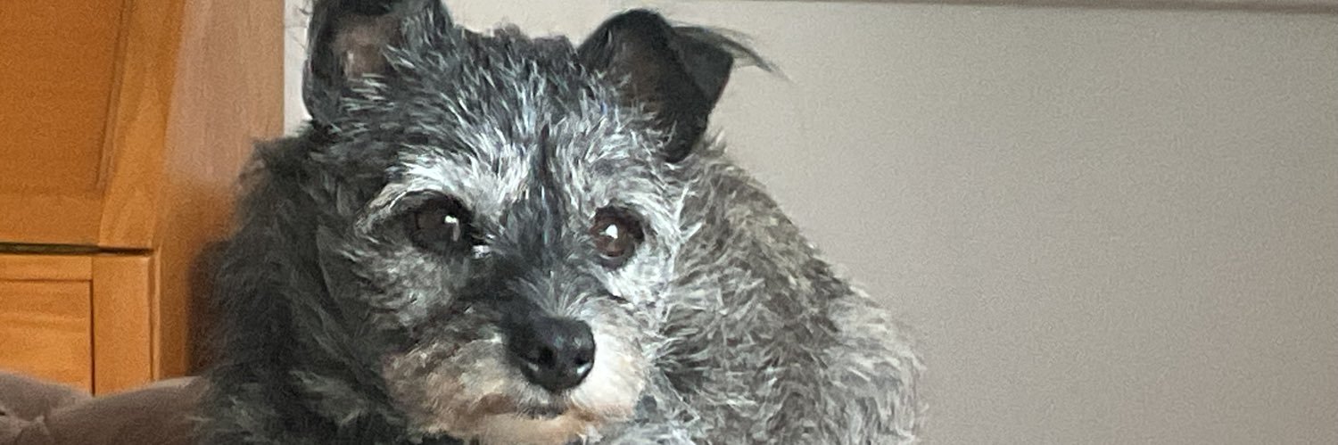 🌱Garden Jean - plant trees 🌳🌷🐕 banner