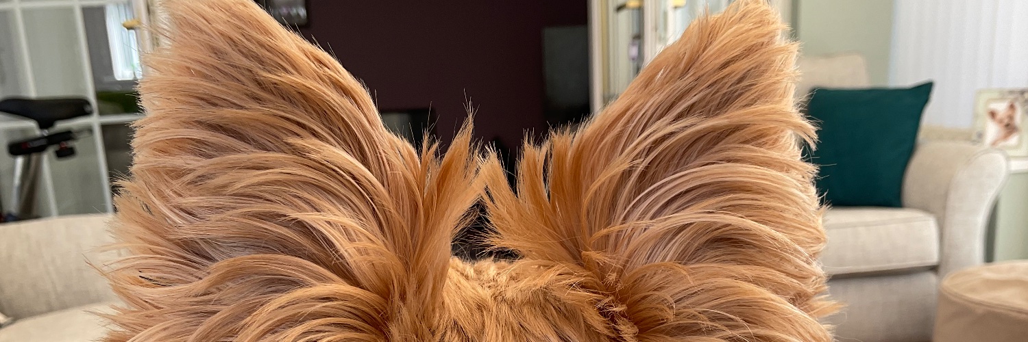 Spike banner