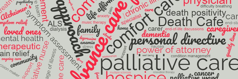 Palliative Institute banner