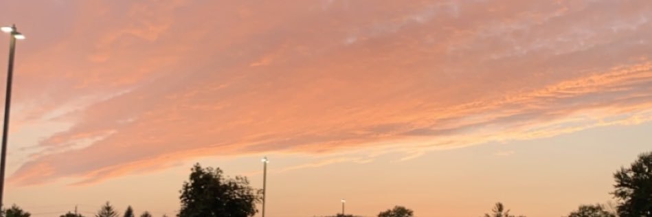 Karoline Sheehan banner