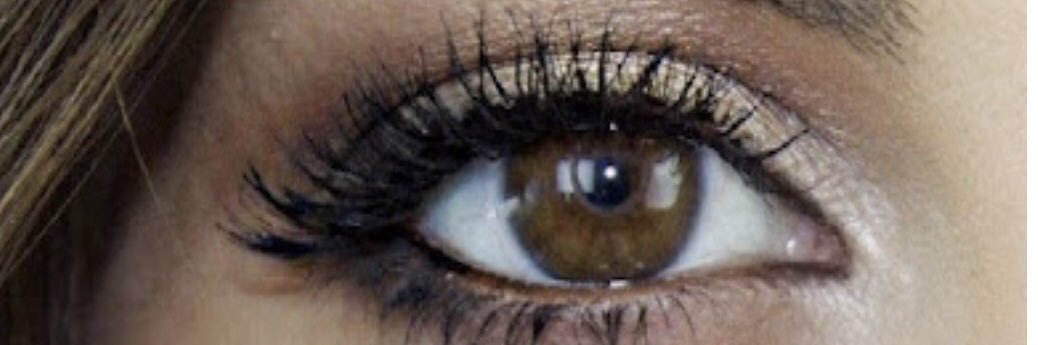 أميرة الشرق banner