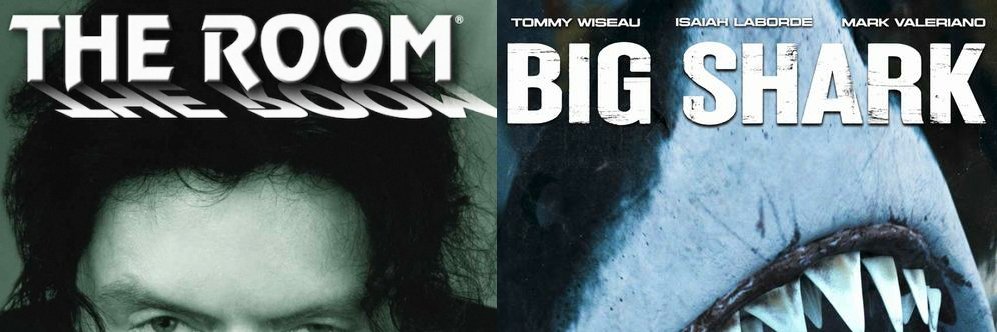 Tommy Wiseau's banner