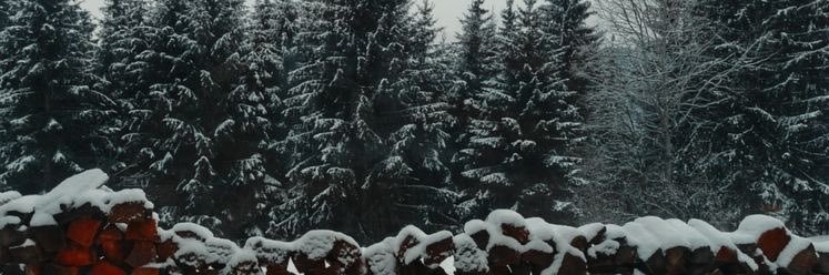 0burkhart's profile banner image